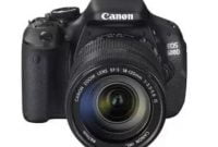 Canon EOS Utility 600D: How do I connect to the PC?
